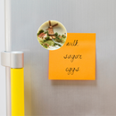 Dutch Gift Idea Fridge Magnet Windmill & Swan