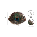Deluxe Hat Pin Feather with Peacock & Brown Fedora Feathers