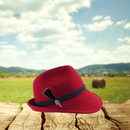 Edelweiss German Hat Pin: with Hair Brush