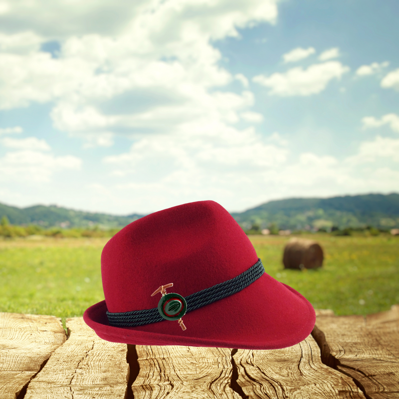 German Hat Lapel Pin: German Fedora Hat
