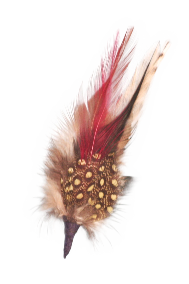German Single Hat Feather White/Brown - 1 