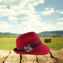 German Hat Pins: AlPinse Ice Axe