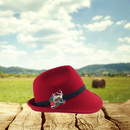 German Hat Pins: German Stags - DutchGiftOutlet