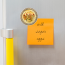 Fridge Magnet: Euro Plate